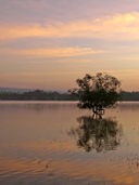 อ่างเก็บน้ำจักรพงษ์-วนพุทธอุทยานน้ำตกเขาอีโต้-33